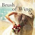 Cover Art for B019DKO4JU, Brush of Wings by Kingsbury, Karen