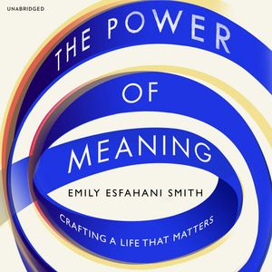 Cover Art for 9781473550889, The Power of Meaning by Emily Esfahani Smith