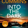 Cover Art for 9781529040173, Into the Dark by Fiona Cummins