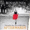 Cover Art for 9781405510042, Afterwards by Rosamund Lupton