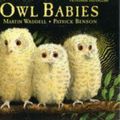 Cover Art for 9781854303486, Owl Babies by Martin Waddell