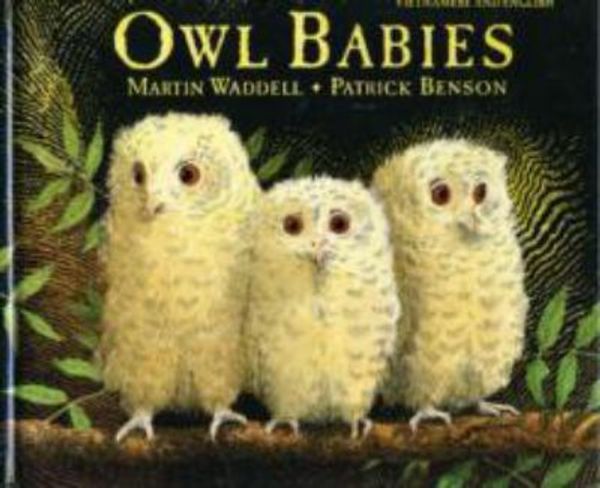 Cover Art for 9781854303486, Owl Babies by Martin Waddell