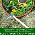Cover Art for B00FZF1FCW, Beyond The Pellet (The Urban Rabbit Project Book 2) by Craven Jr, Boyd, Rick Worden