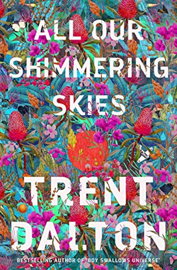 Cover Art for B081G1SYY3, All Our Shimmering Skies by Trent Dalton