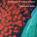Cover Art for 9781315437590, The Shadow of the Object by Christopher Bollas