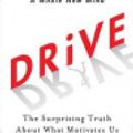 Cover Art for 9781101152140, Drive by Daniel H Pink