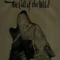 Cover Art for 9781610453974, The Call of the Wild by Jack London