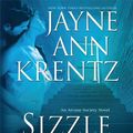 Cover Art for 9781594133152, Sizzle and Burn by Jayne Ann Krentz