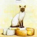 Cover Art for 9781863406994, The Cat Who Said Cheese by Lilian Jackson Braun