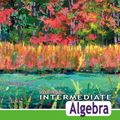 Cover Art for 9780321443625, Intermediate Algebra by Margaret L. Lial, John Hornsby, Terry McGinnis