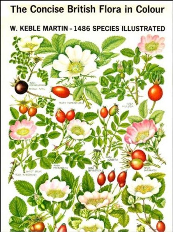 Cover Art for 9780718140281, Concise British Flora in Colour by W. Keble Martin
