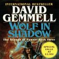 Cover Art for 9780345416858, Wolf in Shadow (Stones of Power) by David Gemmell