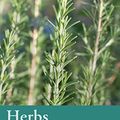 Cover Art for 8601404345302, Herbs: River Cottage Handbook No.10 by Nikki Duffy