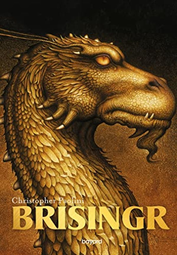 Cover Art for 9782747029612, Eragon 03. Brisingr by Christopher Paolini