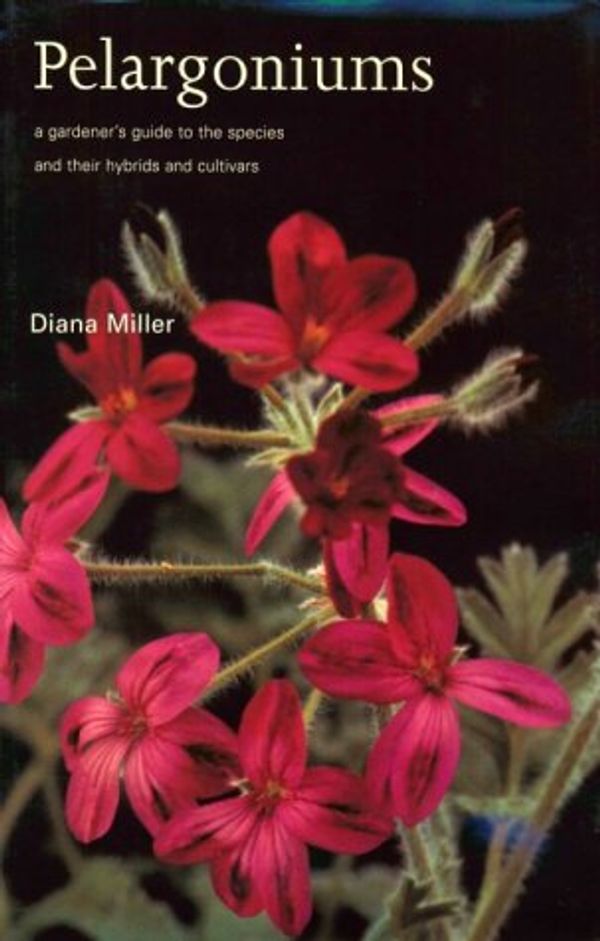 Cover Art for 9780881923636, Pelargoniums: a Gardener's Guide to the Species and Their Hybrids and Cultivars by Diana Miller
