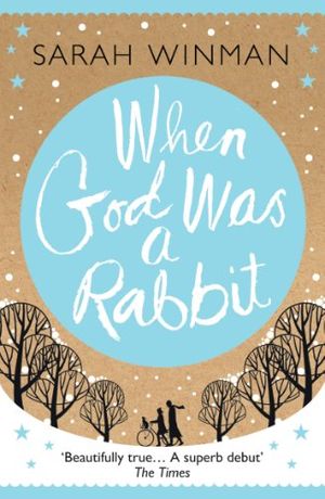 Cover Art for 9780755395392, WHEN GOD WAS A RABBIT EXPORT ONLY by Sarah Winman