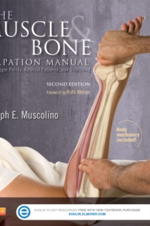 Cover Art for 9780323221962, The Muscle and Bone Palpation Manual with Trigger Points, Referral Patterns and Stretching, 2e by Joseph E. Muscolino
