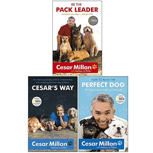 Cover Art for 9789124114763, Cesar Milan 3 Books Collection Set (How to Raise the Perfect Dog, Cesar's Way: Everyday Guide to Understanding & Correcting Common Dog Problems & Be the Pack Leader) by Cesar Millan