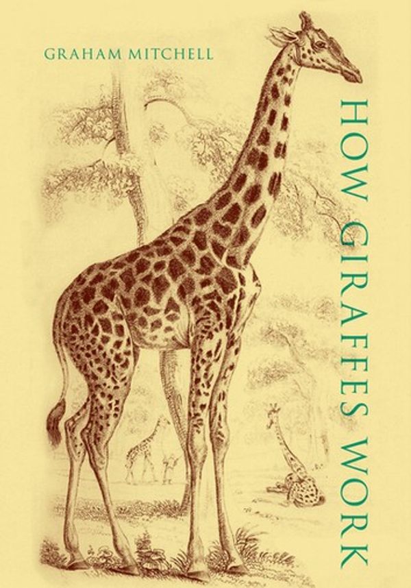 Cover Art for 9780197571217, How Giraffes Work by Graham Mitchell