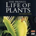 Cover Art for 0792266330303, The Private Life of Plants [Region 2] by David Attenborough by 