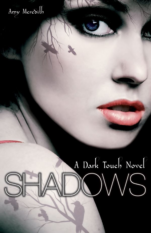 Cover Art for 9781849410519, Dark Touch: Shadows by Amy Meredith