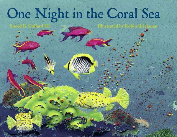 Cover Art for 9781570913907, One Night In The Coral Sea by Sneed B. Collard, III