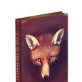 Cover Art for 9781851245802, A Fox for All Seasons Journal: With New Reynard the Fox Mini Stories by Anne Louise Avery