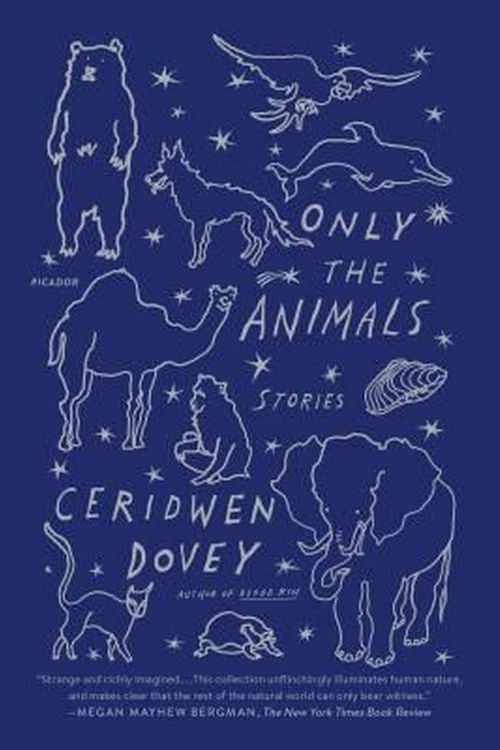 Cover Art for 9781250097149, Only the Animals: Stories by Ceridwen Dovey