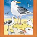 Cover Art for 9780198381631, fuzzbuzz: Level 2B Storybooks: The Gull: A Remedial Reading Scheme: Storybooks Level 2B by Colin Harris