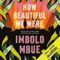 Cover Art for B085HYKNX1, How Beautiful We Were by Imbolo Mbue