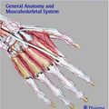 Cover Art for 9781588903587, General Anatomy And Musculoskeletal System by Michael Schuenke