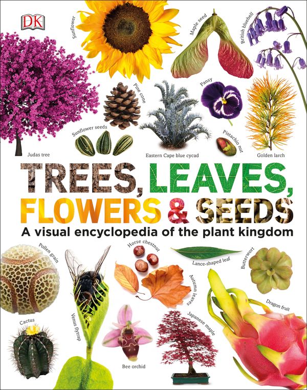 Cover Art for 9780241339923, Trees, Leaves, Flowers and Seeds: A visual encyclopedia of the plant kingdom by Dk