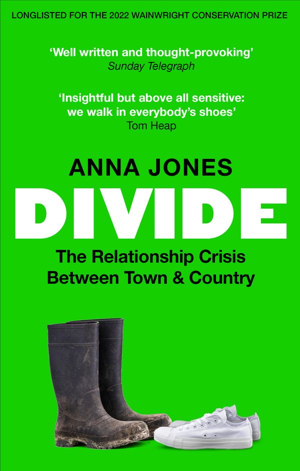 Cover Art for 9780857839732, DIVIDE by Anna Jones