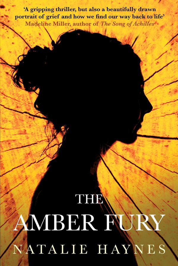 Cover Art for 9781782392767, The Amber Fury by Natalie Haynes