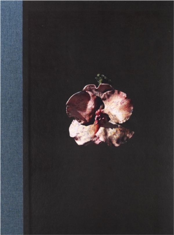 Cover Art for 9780956990471, Mat Collishaw by Sue Hubbard, Campbell-Johnson, Rachel
