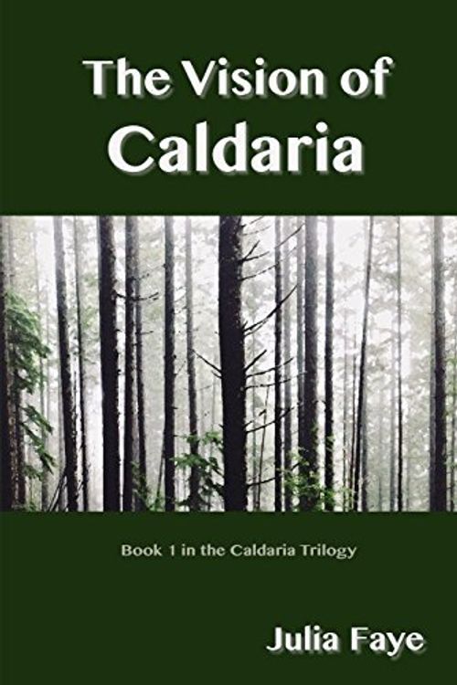 Cover Art for 9781449914134, The Vision of Caldaria by Julia Faye