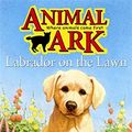 Cover Art for 9780340917947, Labrador on the Lawn by Daniels, Lucy / Baum, Ann (Illustrator)
