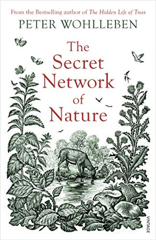 Cover Art for B079223BPM, The Secret Network of Nature: The Delicate Balance of All Living Things by Peter Wohlleben