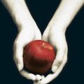 Cover Art for 9789047514602, Twilight by Stephenie Meyer