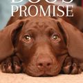 Cover Art for 9781529010084, A Dog's Promise by W. Bruce Cameron