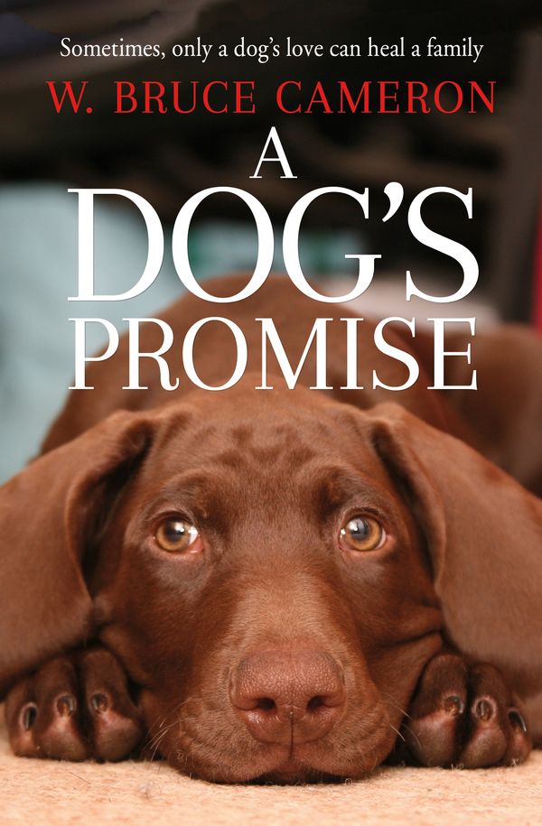 Cover Art for 9781529010084, A Dog's Promise by W. Bruce Cameron