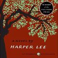 Cover Art for 9781634197366, To Kill a MockingbirdHarperperennial Modern Classics by Harper Lee