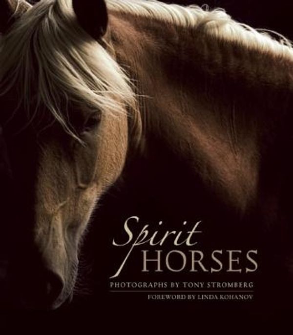 Cover Art for 9781608681426, Spirit Horses by Tony Stromberg
