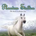 Cover Art for 9780061889820, Phantom Stallion #24: Run Away Home by Terri Farley