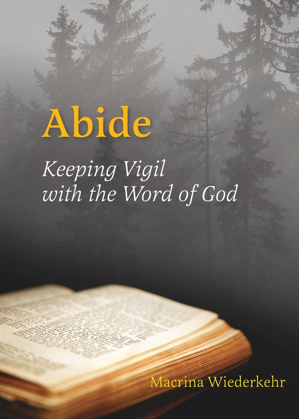 Cover Art for 9780814639580, Abide : keeping vigil with the Word of God by Macrina Wiederkehr