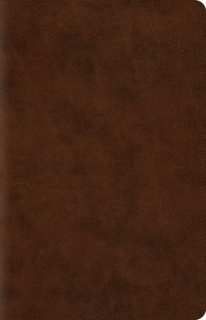 Cover Art for 9781433544163, ESV Wide Margin Reference Bible (TruTone, Brown) (Esv Bibles) by Crossway Bibles