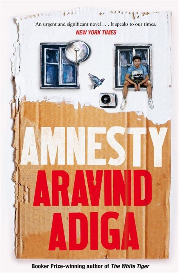 Cover Art for 9781509879069, Amnesty by Aravind Adiga