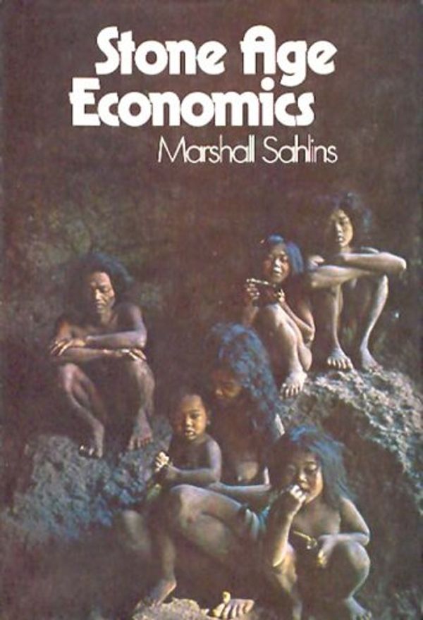 Cover Art for 9780202307879, Stone Age Economics by Marshall Sahlins