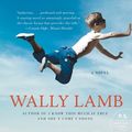Cover Art for 9780060988432, The Hour I First Believed by Wally Lamb