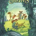 Cover Art for 9780316053563, Seven Wild Sisters: A Modern Fairy Tale by Charles de Lint